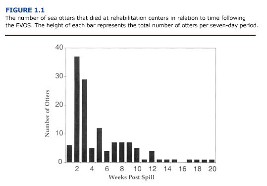 The number of sea otters that died at rehabilitation centers in relation to time following the EVOS.