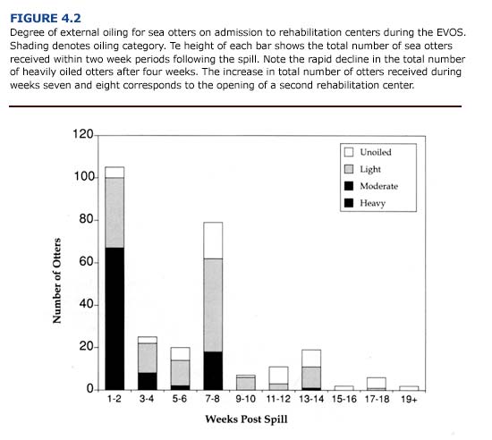 Degree of external oiling for sea otters on admission to rehabilitation centers during the EVOS
