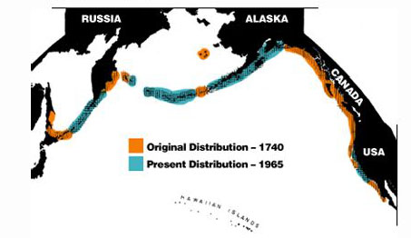 Natural History Distribution