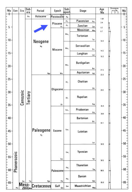 NatHist Evolution Chart