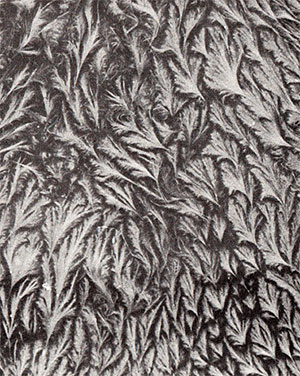 NatHist fur Insulator